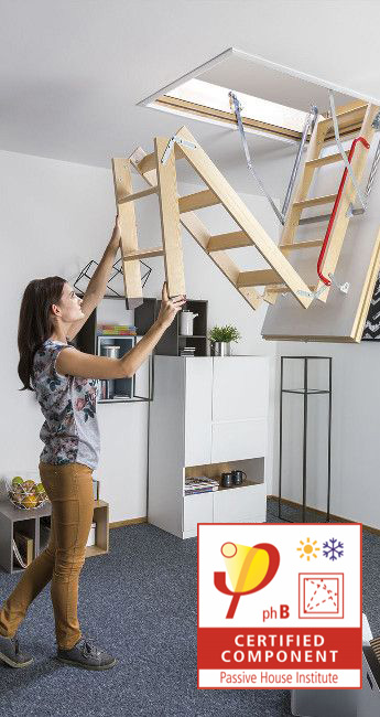 Loft Ladders