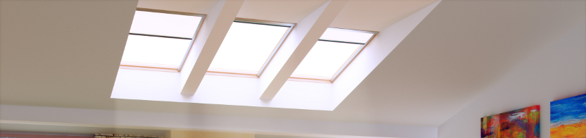 The FAKRO Fixed skylight FX